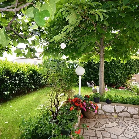 Gorana 公寓 诺维·维诺多尔斯基